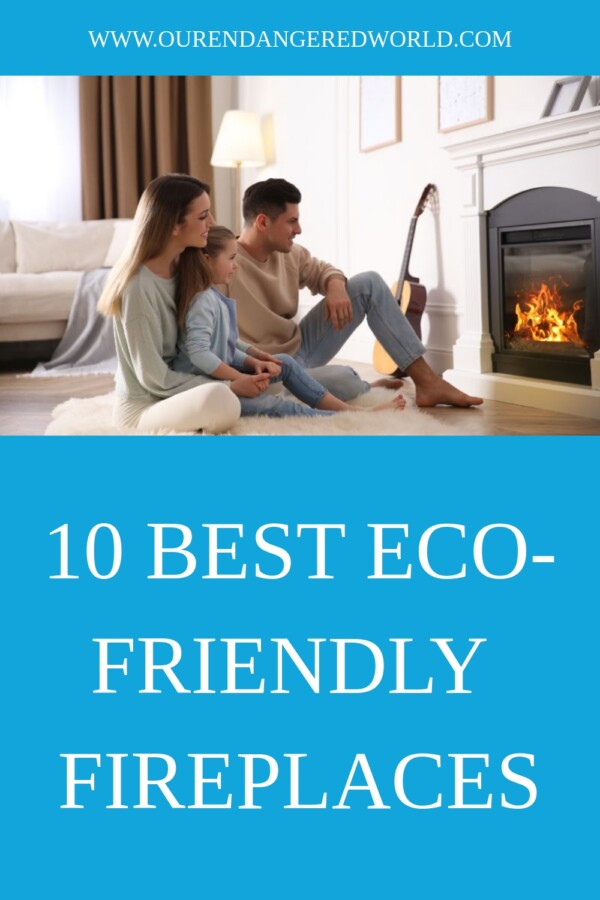 10 Best Eco Friendly Fireplaces generated pin 28815