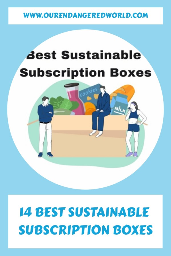 14 Best Sustainable Subscription Boxes generated pin 26249