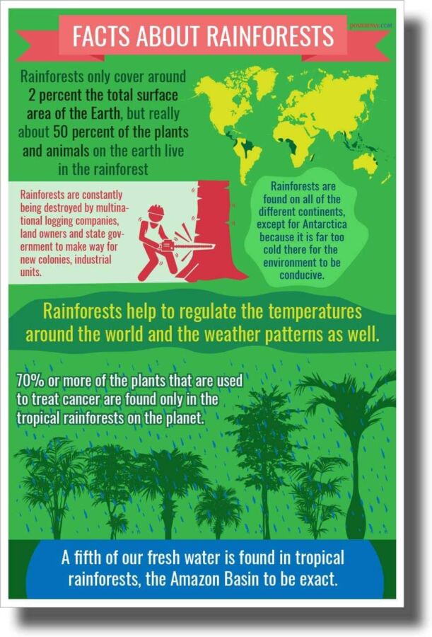 13 Best Posters on Saving Earth and Environment