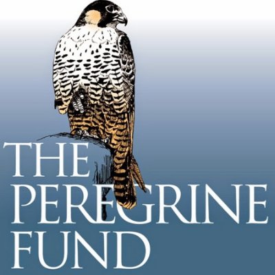 The Peregrine Fund logo