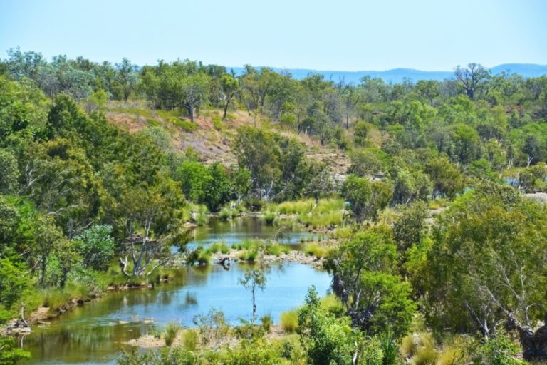 Habitat vs Ecosystem vs Biome: What’s the Difference?