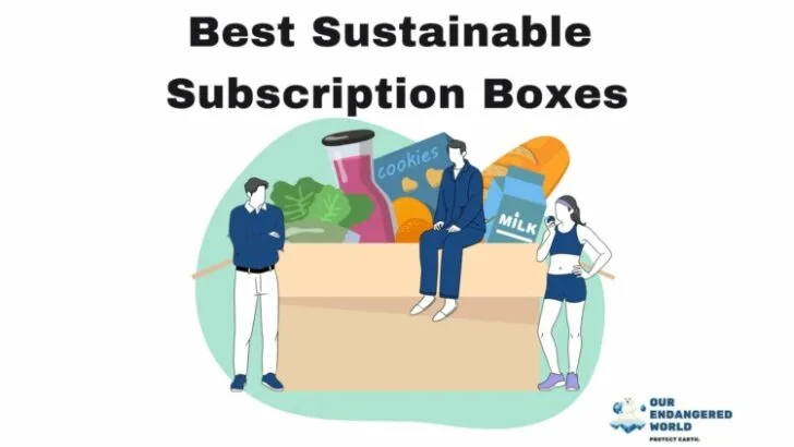 Best Sustainable Subscription Boxes