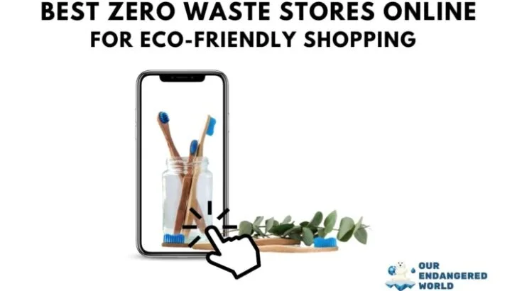 Best Zero Waste Stores Online for Eco-Friendly Shopping