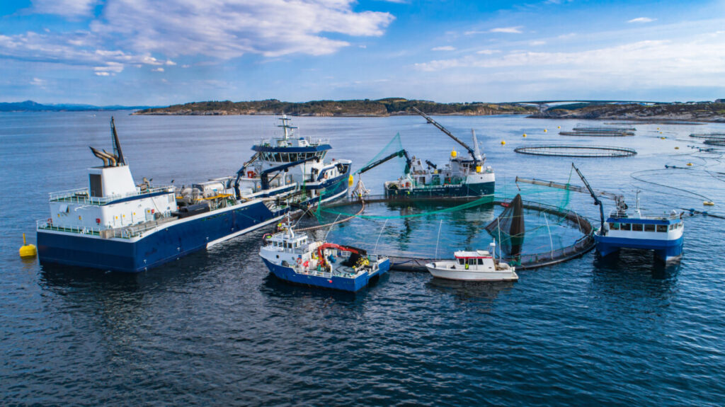 Salmon fish farm in Norway