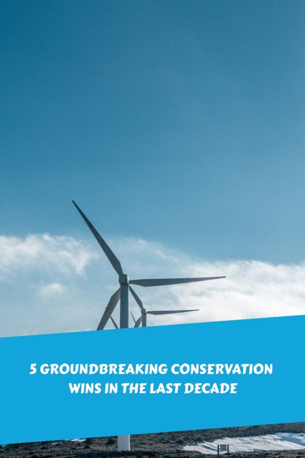 5 Groundbreaking Conservation Wins in the Last Decade generated pin 38737