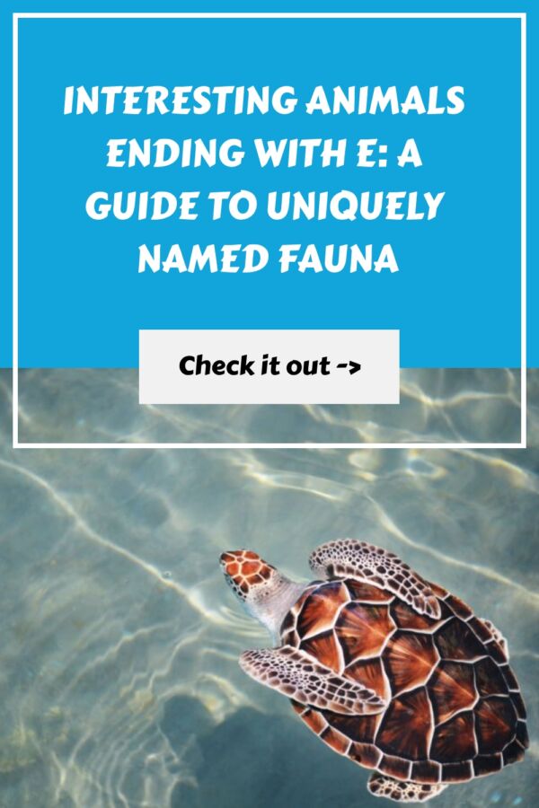 Interesting Animals Ending with E A Guide to Uniquely Named Fauna generated pin 38745