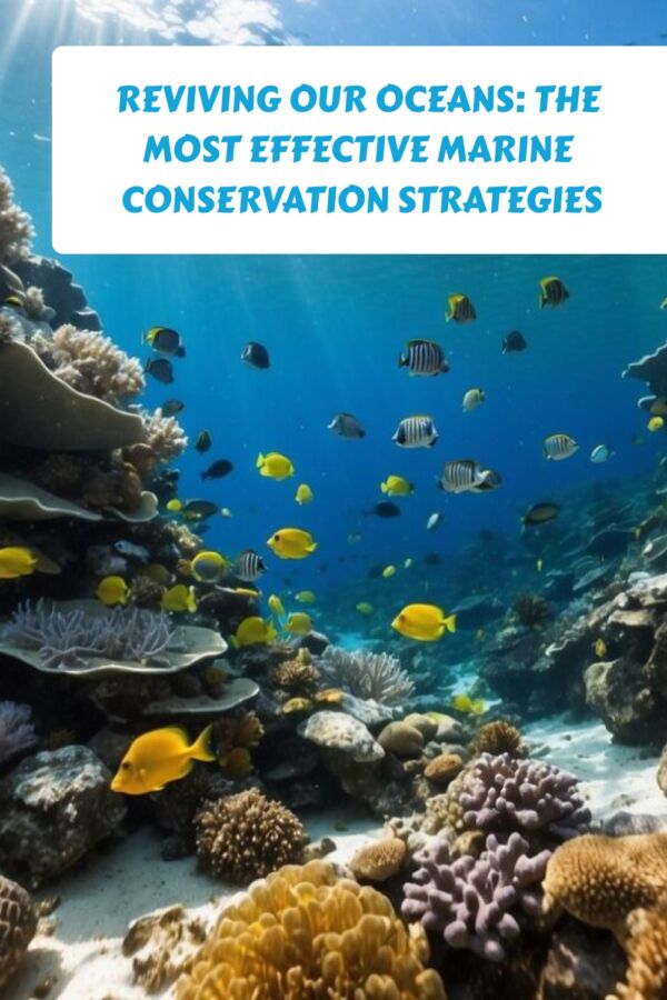 Reviving Our Oceans The Most Effective Marine Conservation Strategies generated pin 38739