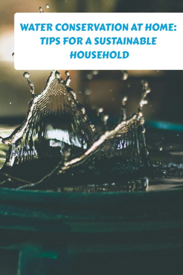 Water Conservation at Home Tips for a Sustainable Household generated pin 39026